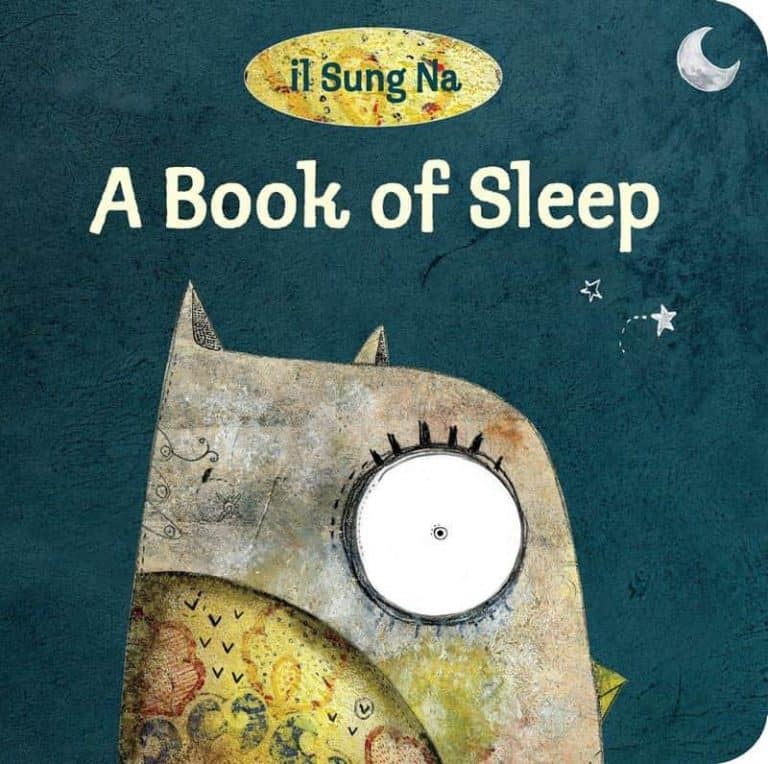 A Book of Sleep book cover